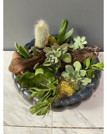 Succulent Grand Bowl Flower Arrangement