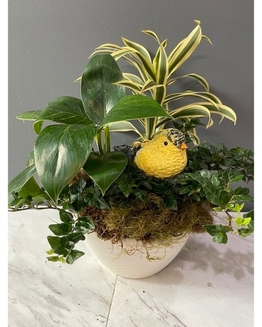 European Garden Flower Arrangement