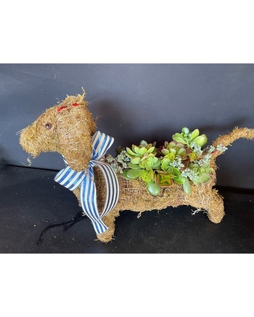 Dachshund Flower Arrangement