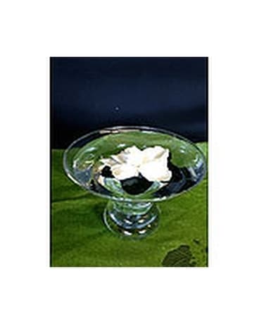 Single Gardenia in Oakland CA - J. Miller Flowers and Gifts