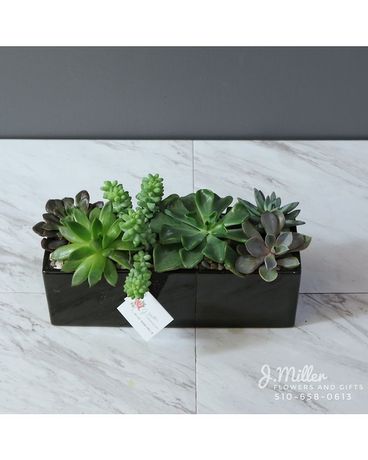 Succulent Garden Flower Arrangement