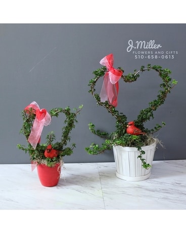 Plant: Ivy Heart Flower Arrangement