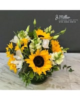 Premium size,  inches height and  inches wide.