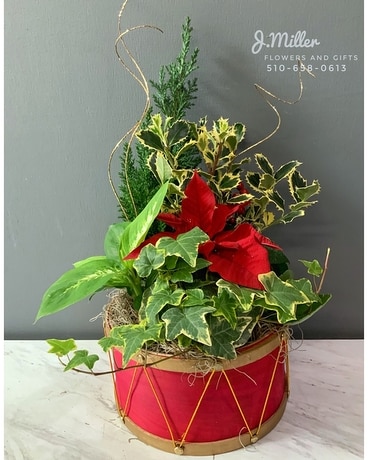 Holiday Drum *J.Miller Holiday Collection 2020* Flower Arrangement