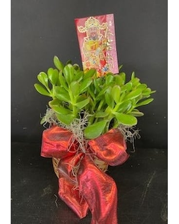 Lucky Jade and Chinese Envelope Flower Arrangement