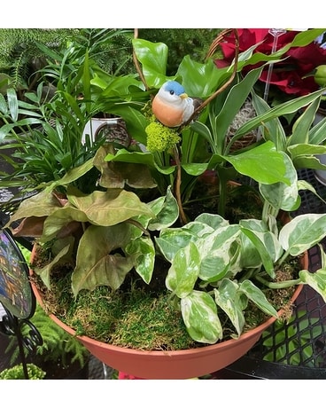 Dish Garden with bird Dish Garden Plant