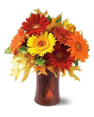 Autumn Gerberas in Corning NY - House Of Flowers