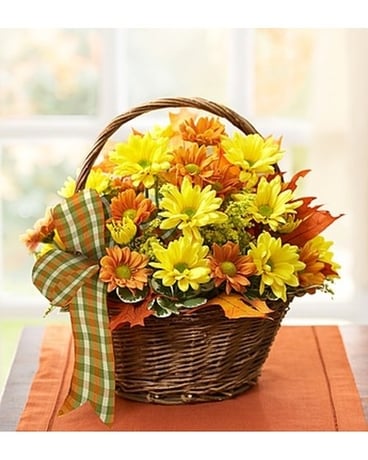 Fall Daisy Basket Flower Arrangement