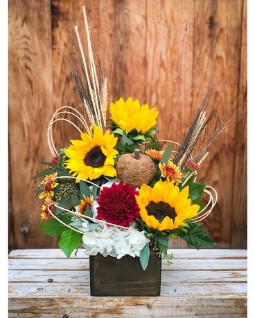 Flowers In A Gift Delivery Crystal Lake Il Countryside Flower Pumpkin E