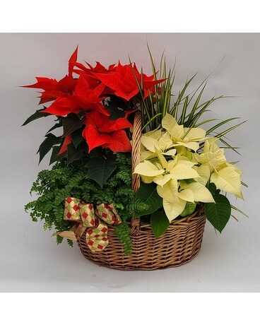 Winter Bliss Flower Arrangement