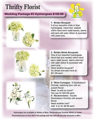 Wedding Package 3 (Metro-Detroit Area Only)
