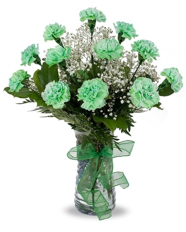 Dozen Green Carnations Flower Arrangement