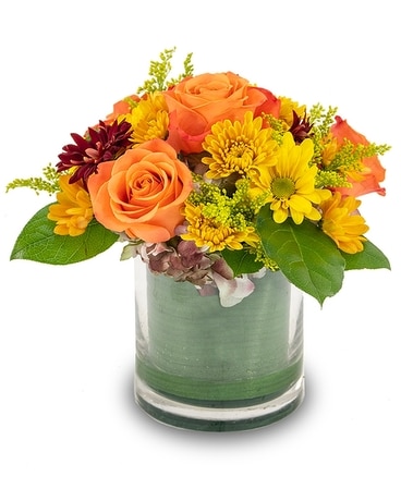Warm Wishes Flower Arrangement