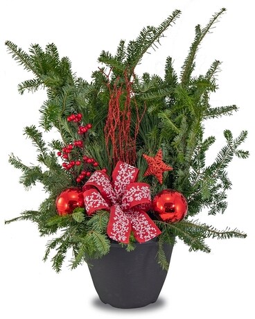 Holly Jolly Collection Specialty Arrangement