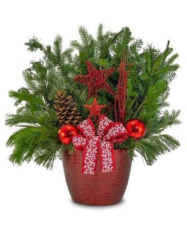 Merry Collection Specialty Arrangement