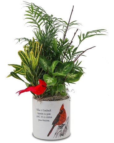 Cardinal Garden Flower Arrangement