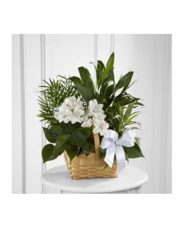 The FTD Peace & Serenity Dishgarden Flower Arrangement
