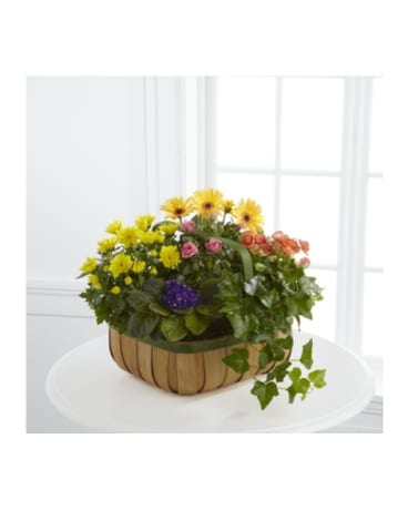 The FTD Gentle Blossoms Basket Flower Arrangement