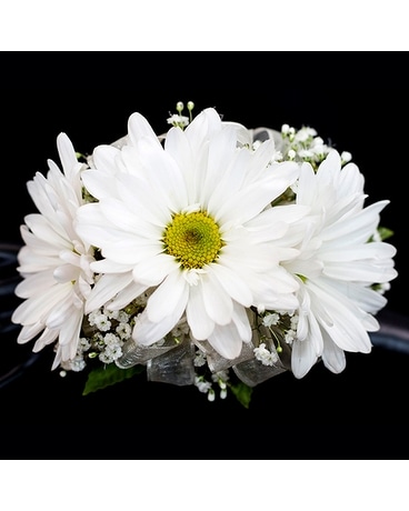 3 Daisies Wrist Corsage Corsage