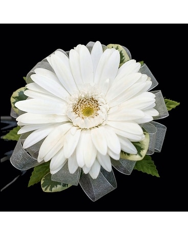 Gerbera Daisy Wrist Corsage Corsage