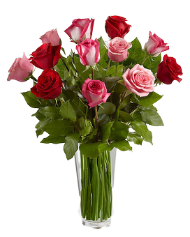 1 Dozen Red & Pink Roses