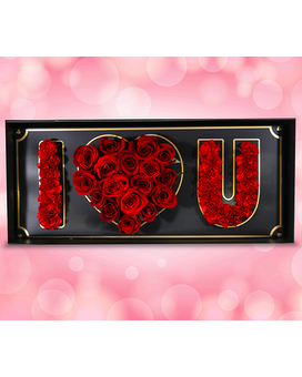 Gift Box Mother's Day Red Carns and Roses Flower Arrangement