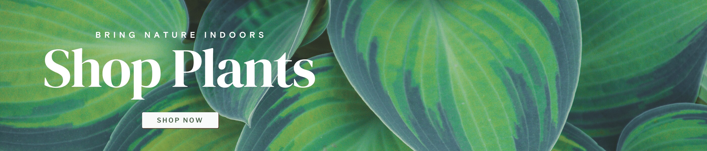 Plants banner that links to the plants category.