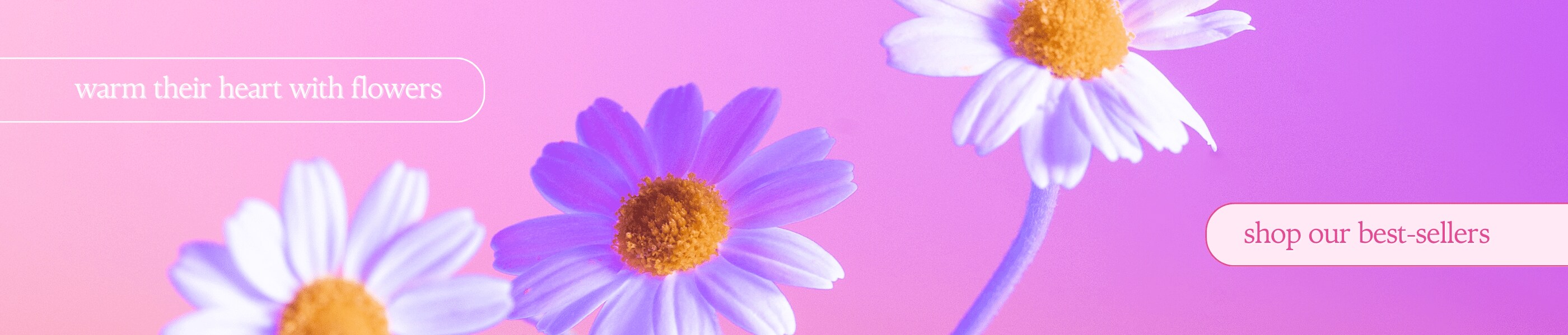 Redwood City Florist Redwood City Florist Flower Delivery