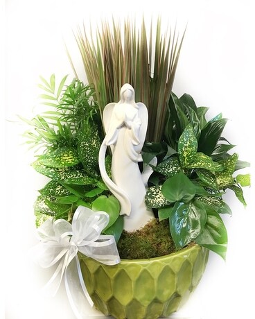 Standard Angel Garden
