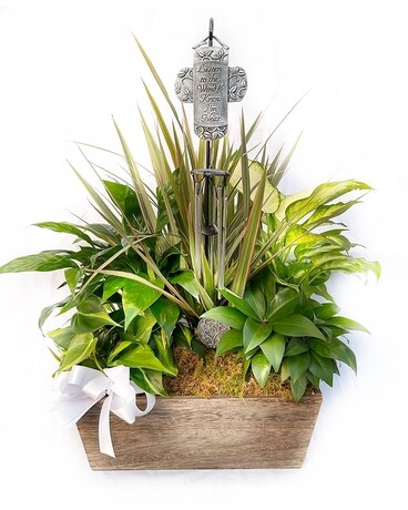 Windchime Planter Plant