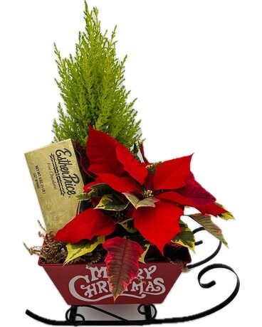 The Holiday Sleigh Plant