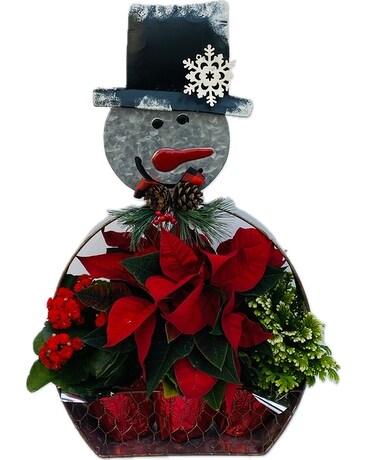 Snowman Planter Plant