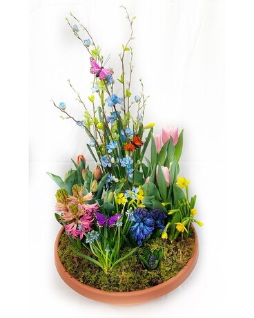 Furst Exquisite Bulb Garden Plant