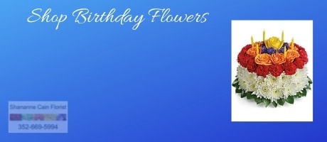 Beautiful Seasonal Flowers Banner