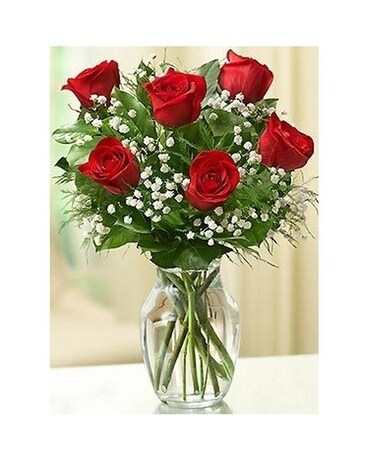 1/2 Dozen Roses Funeral Arrangement