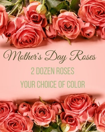 Mother's Day 2 Dozen Rose Special Flower Arrangement