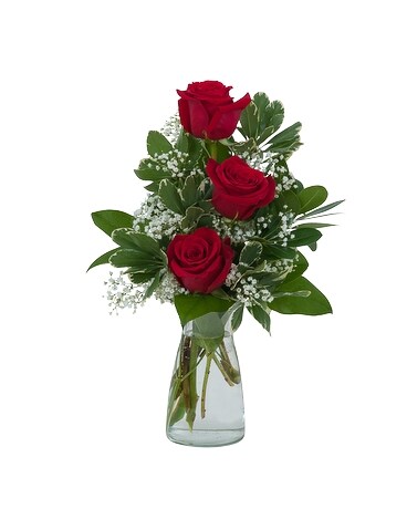 Simply Roses Flower Arrangement