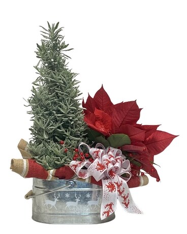 Sleigh Bells Ring by Razzle Dazzle® Flowers Mesa Custom product