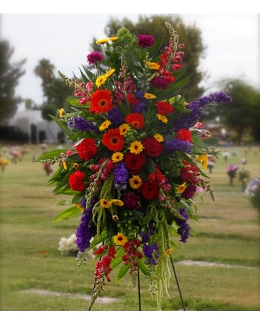 Divine Color Standing Spray
