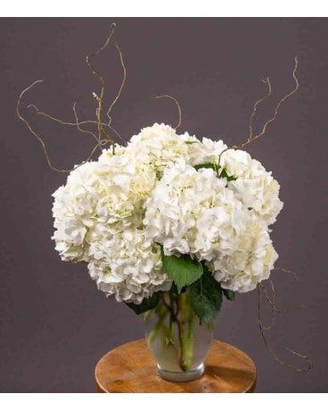 Hydrangea Vase