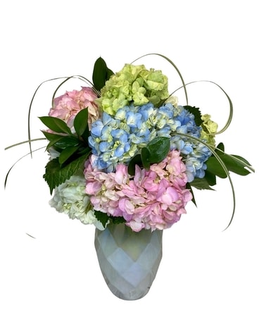 Happy Hydrangeas by Razzle Dazzle® Flowers Mesa Flower Arrangement