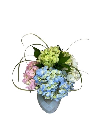 Happy Lil' Hydrangeas Razzle Dazzle® Flowers Mesa Flower Arrangement