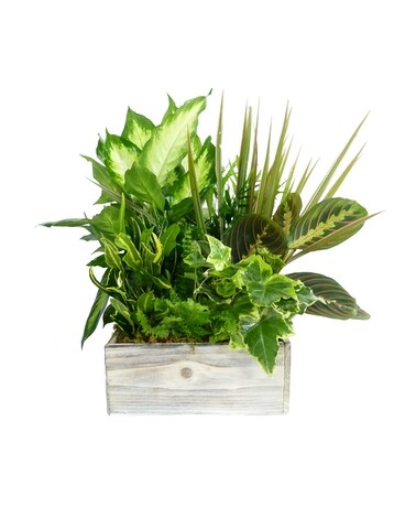 Large Woodland Planter Garden Flower Arrangement
