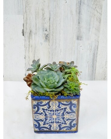 Mosaic Succulents Flower Arrangement