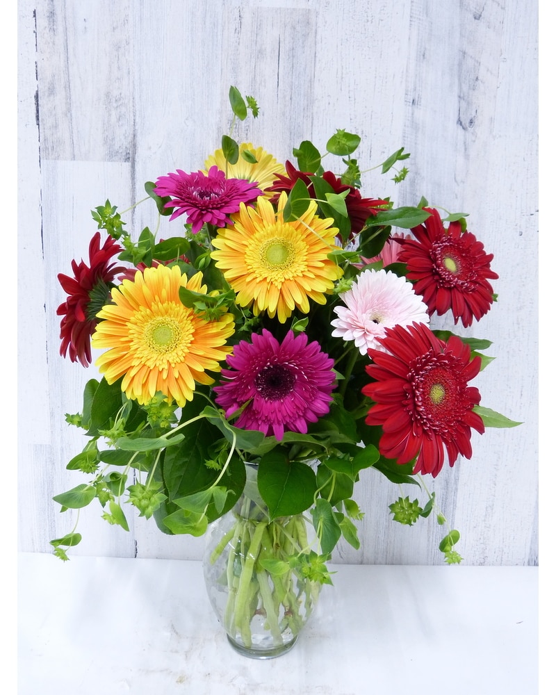 Gerbera Bright in Silver Spring MD - Bell Flowers, Inc