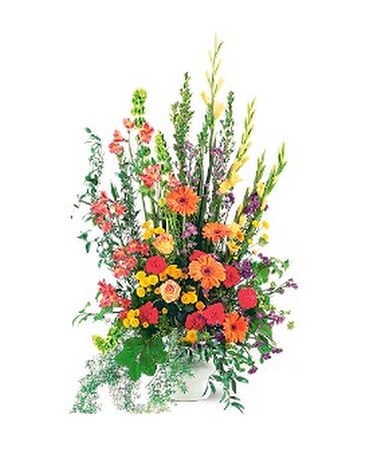 Summer Sentiments Arrangement Flower Arrangement