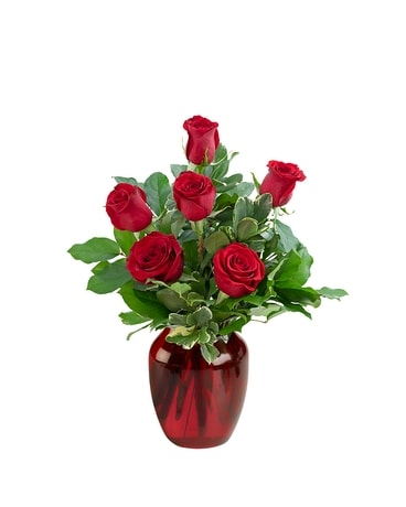 Half Dozen Roses Flower Arrangement
