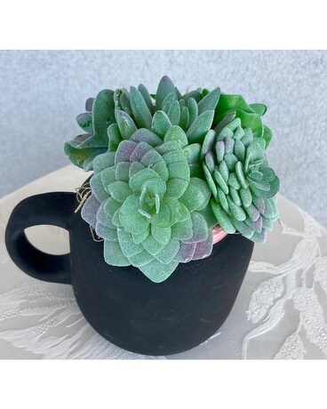 ARTIFICIAL ARRANGEMENT A Cup of Succulents Flower Arrangement