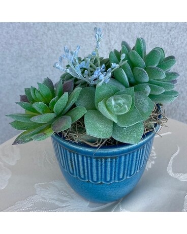 ARTIFICIAL ARRANGEMENT Pot of Succulents Flower Arrangement