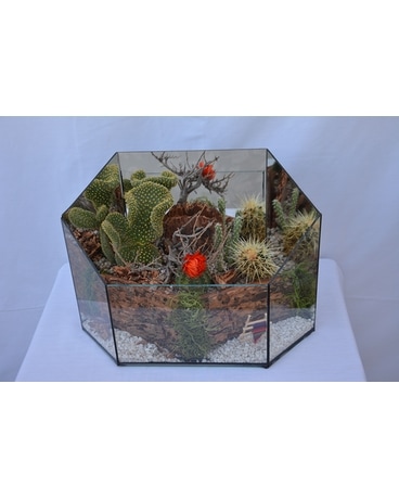 Pretty Cacti Terrarium (Extra Large) Plant